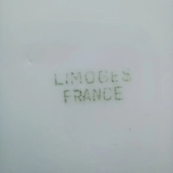 LIMOGES FRANCE 10"VINTAGE HAND PAINTED PLATE PEONIES - Picture 6 of 14